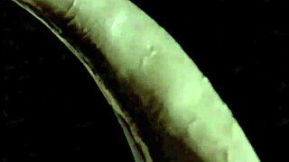 Vintage Taboo Pussy Gets Pounded Doggy Style Outdoors! What a Hairy Retro Ride!