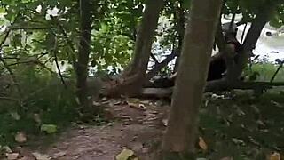 Fomos pegos no flagra por desconhecidos na floresta com garoto transando sem camisinha.