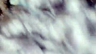 wanessa silva sucked the technician's cock