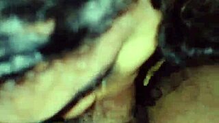 wanessa silva sucked the technician's cock
