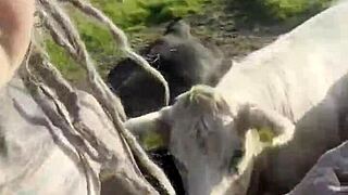 i'm just a happy hippie country girl chatting with cows and you too