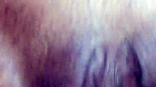 cuban puta takes my cock deep in her ass