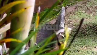 brazilian blonde wife gets caught masturbating by the river as her husband spies casually