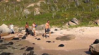 beautiful blonde milf fucks three males on beach