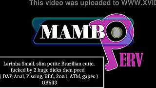Larinha gets fucked by two huge dicks then peed in DAP anal!