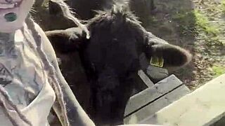 I am a country girl at heart would you have thought i find my peace in nature soaking up the sun and embra