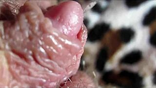 Extreme close up on my huge clit head