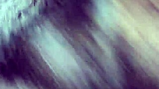 Latina lesbians tango with monster black cocks in steamy action.