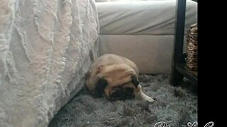 briana lee webcam show on june 27th 2018 full performance