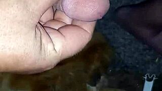 small dick homemade pov amateurs tease with contrasts