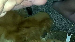 small dick homemade pov amateurs tease with contrasts