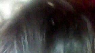 huge tits girlfriend enjoys sucking in homemade video