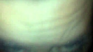 huge tits girlfriend enjoys sucking in homemade video