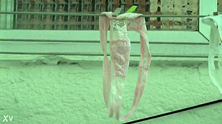 What'S In My Neighbor'S Thong?