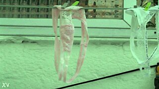What'S In My Neighbor'S Thong?
