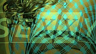 wow, this sexy ladyboy photoshoot in lingerie and panties is just too hot to handle!