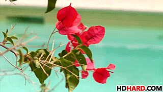 Maddy O'Reilly and Lily Love, are you teasing with that monster cock?