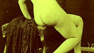 dark lantern shows vintage hairy pussy porn