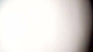 big booty eva left her thicc ass and pussy at home lol