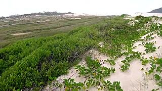 Man, we trekked to a deserted beach just for a crazy group bang with Kaya Nymphet and crew!