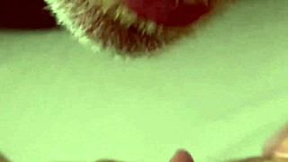 Blonde Pawg Wife Bent Over in Hotel for Hardcore Licking and Fucking Her Pussy and Tits