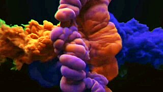 Brazilian YouTuber Pranks Girl On Webcam, Boldly Touches Her Pussy In Intense Amateur Encounter