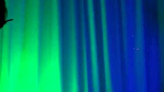 i love art and porn with sussy's dirty sex nights