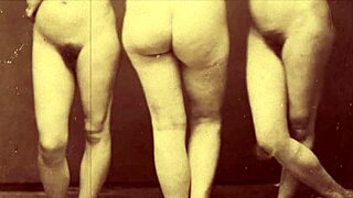 Vintage Gangbang Battle Of Solferino With Hairy Pussies