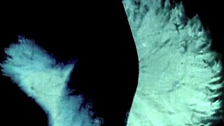 My Secret Life Two Centuries Of Vintage Pornography