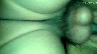 i visited my mexican neighbor for a casual chat