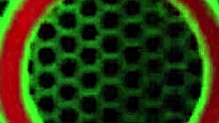 Nasty Vicky Vette sucks boyfriend's cock on webcam