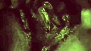 two centuries of vintage pornography