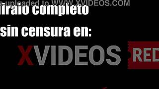 trailer sexologo me consulta en el dormitorio ya disponible en xvideos red