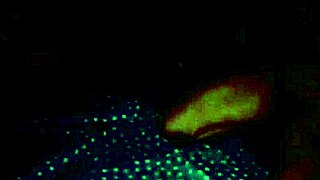 yorgelis kent and erika schwarzenberg in hot venezuelan sex 😏