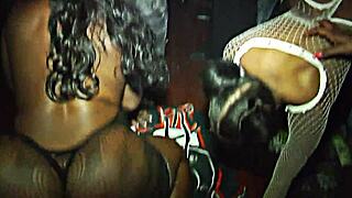 Honeycomb Hideout Adventure Part One