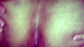 Brazilian Amateurs Celebrate São João Festival