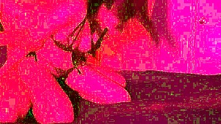 Lazycatdoll Tries New Underwear For Fingering Fun