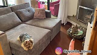 Come Tour My New Apartment And See Where I Record Videos?