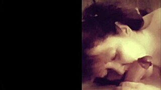 amateur engages in cock sucking and worship, licking before cumshot.