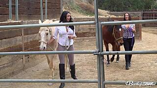 Busty lesbians Missy Martinez and Lylith Lavey dive into juicy fun