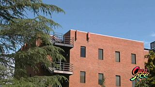 lexi belle and vicki chase intensely eat each other's pussies