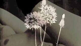 Explore the wonderful world of vintage threesomes with hairy pussies and group fucking