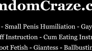 you are a fat slave under femdom mistress domination in bdsm pov