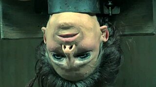 mature sub bound tight and pussytoyed while hanging upside down