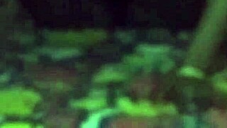 Fucking drunk Indian bhabhi, lifted her up for hard pounding?