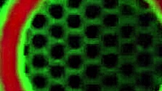 Vicky Vette Intensely Fucks Julia Ann's Pussy With Strap-On