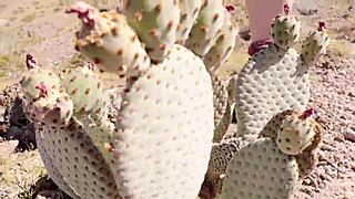 Real Amateur Girlfriend Public POV Creampie with Molly Pills in High Quality Full Video