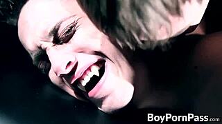 uhh, vampire twinkies gettin’ wild after a hot blowjob sesh, ya know?