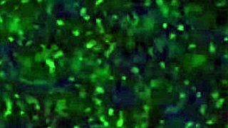 Gaycest Twinks in Hardcore Cum-Filled Gangbang with Two DILFs