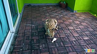 Teen Lola Leda on porn casting interview